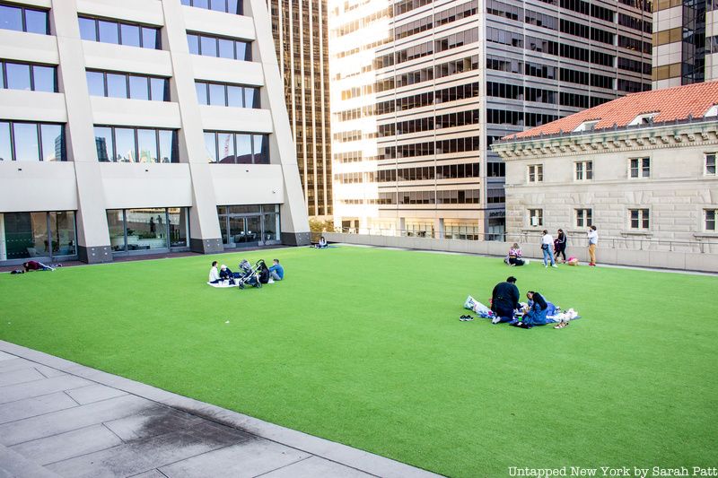 People on the lawn