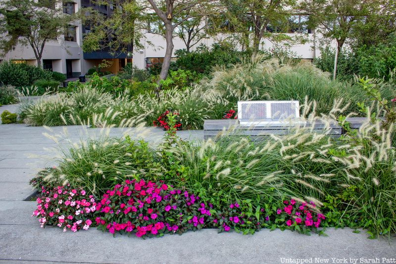 Bench and flowers