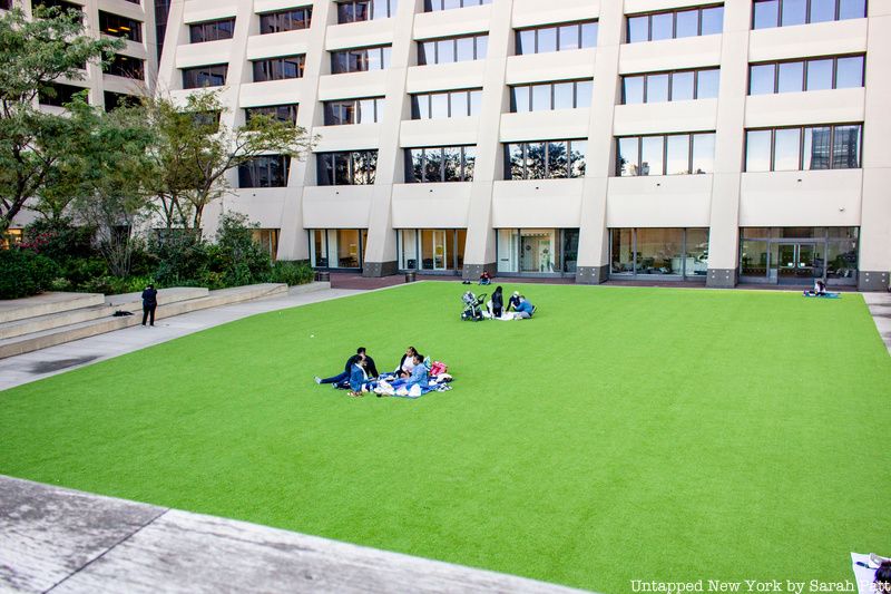 Grassy section of Elevated Acre