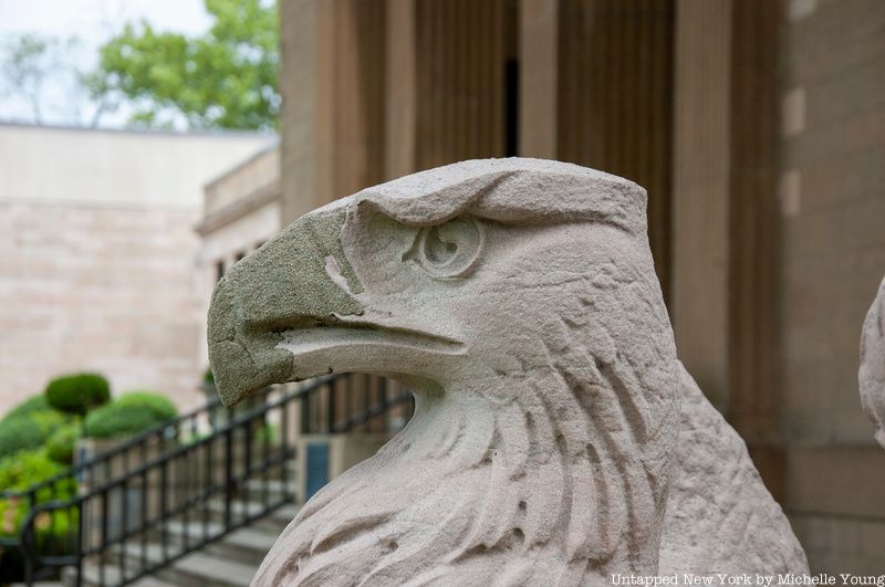 Closeup of damaged beak on eagle