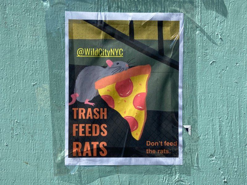 pizza rat PSA