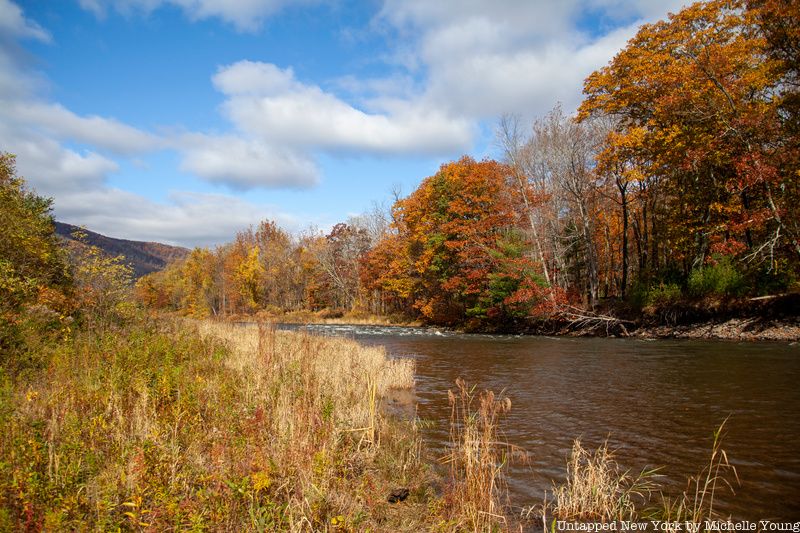 Catskill Mountains and river, where Dutch Schulz treasure might be