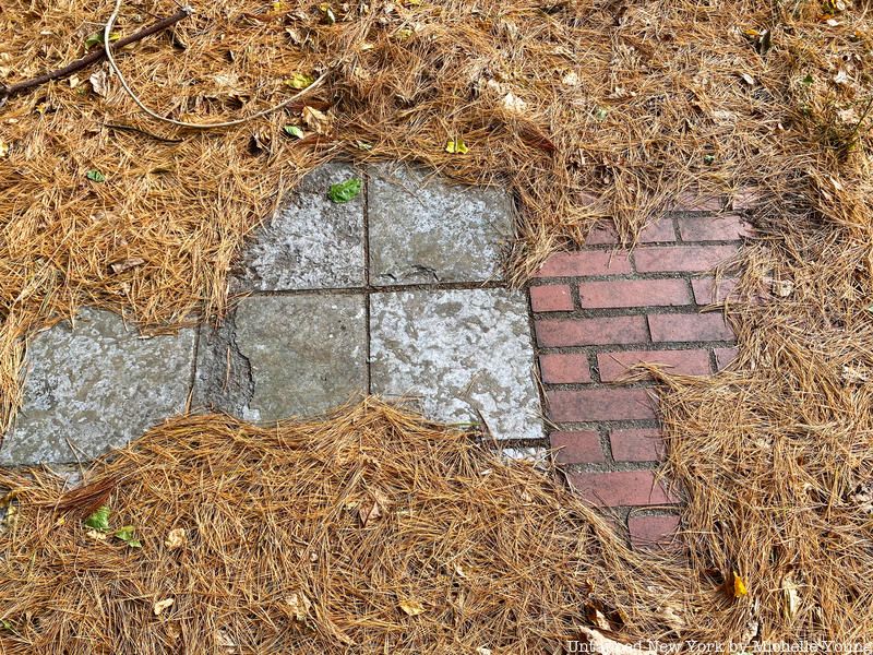 tiles under the pine needles