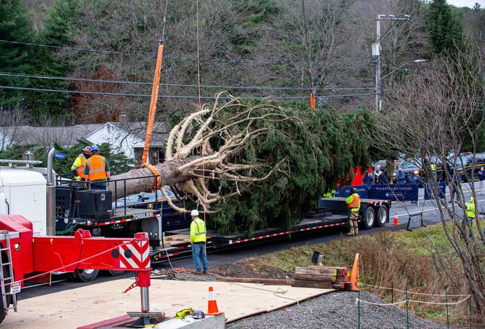 2020 Rockefeller Center Christmas Tree Cutting