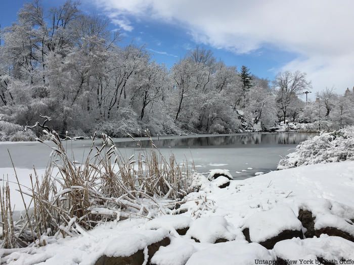 Snow in Central Park