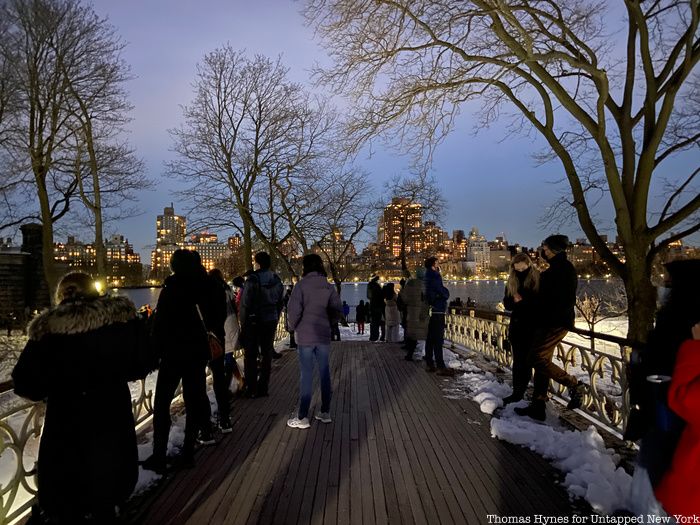 Crowds waiting for snowy owl on the bridge