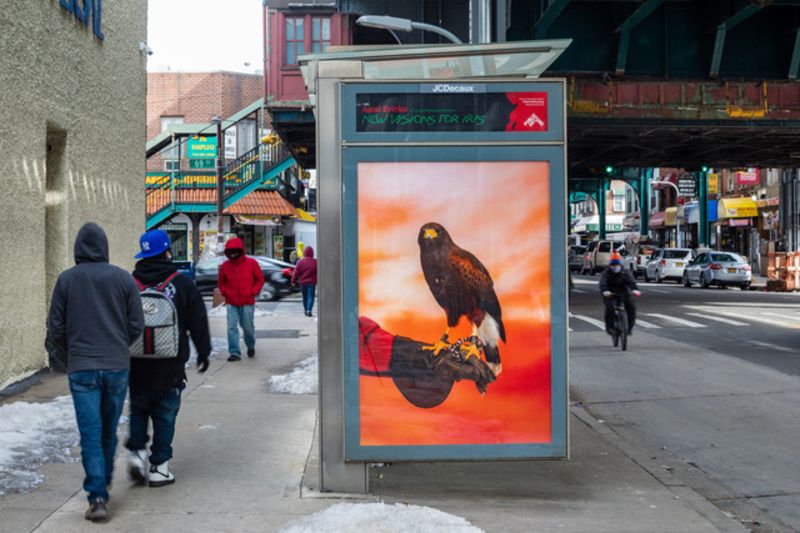 Bus shelter art by Awol Erikzu