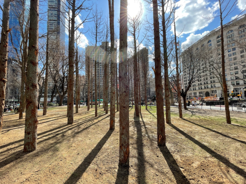 Ghost Forest by Maya Lin at Madison Sq. Park