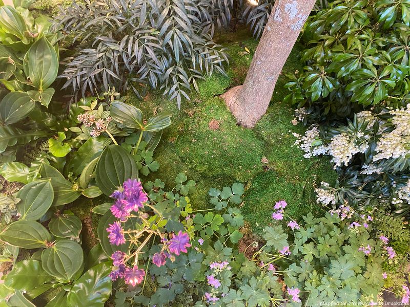 Greenery of Daniel Boulud's new restaurant Le Pavillon in Midtown Manhattan. 