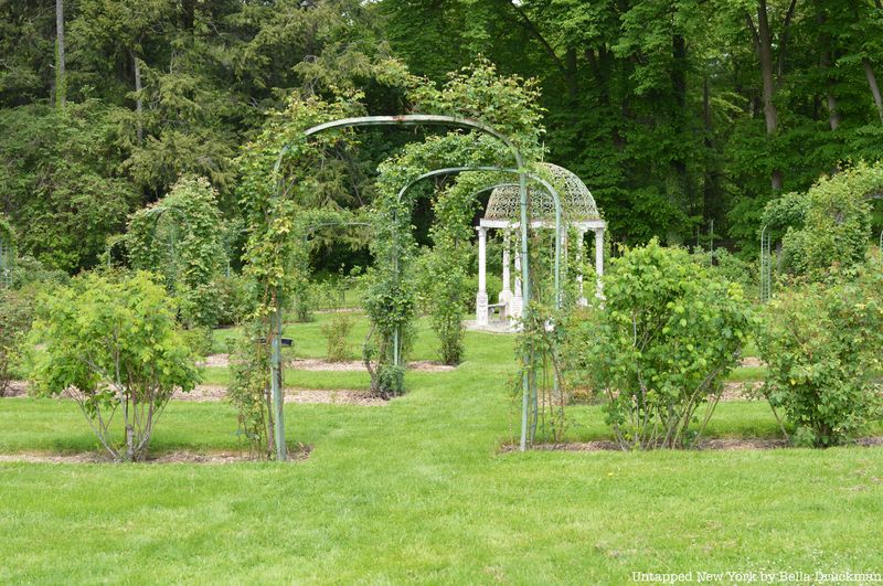 Rose Garden at Lyndhurst Mansion.