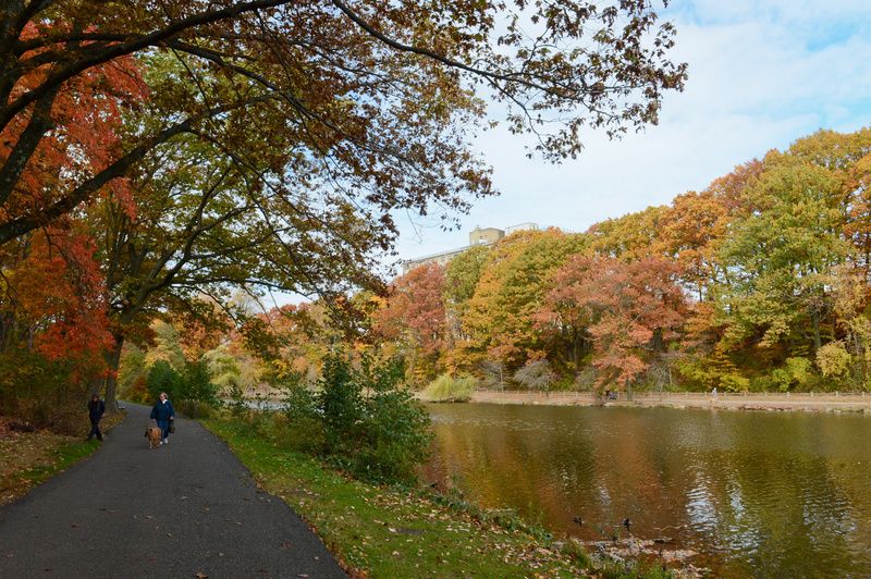 Clove Lakes, Photo courtesy of Natural Areas Conservancy 