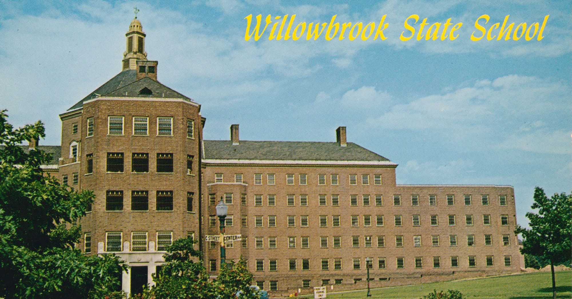 An idyllic-looking postcard from The Willowbrook State School. 