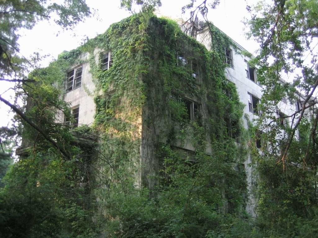 Bennett School for Girls ivy exterior