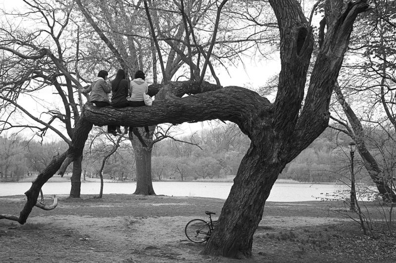 Best Friends by Jamel Shabazz, Courtesy of The Prospect Park Alliance.