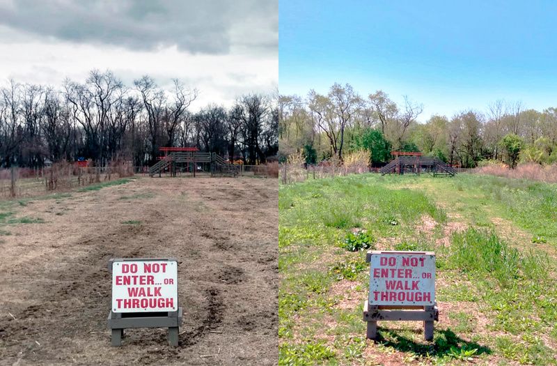 Summer gives life to the Queens County Farm Museum.