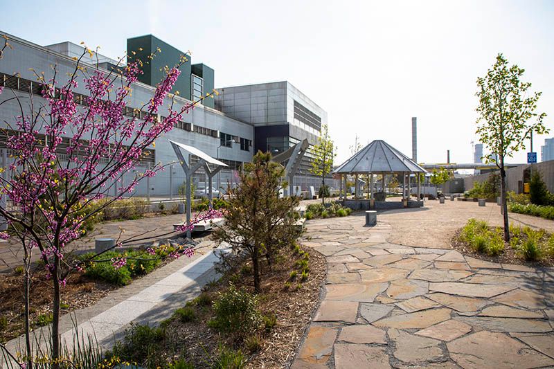 Newtown Creek Nature Walk tour