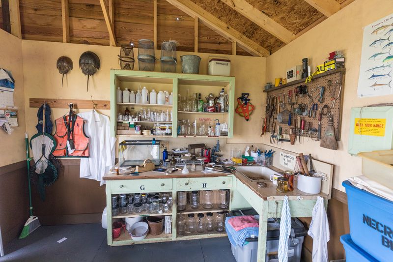 The Field Station of the Melancholy Marine Biologist by Mark Dion. Photo by Zack Smith. Courtesy of the artist and Tanya Bonakdar Gallery.