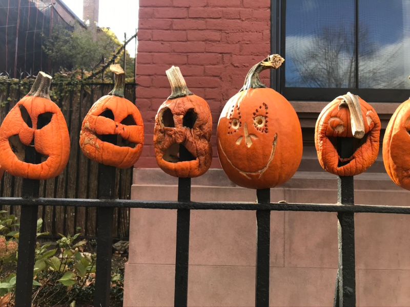 Decomposing pumpkins wither away atop the spikes of a metal fence in Brooklyn for a beloved Halloween event in NYC.