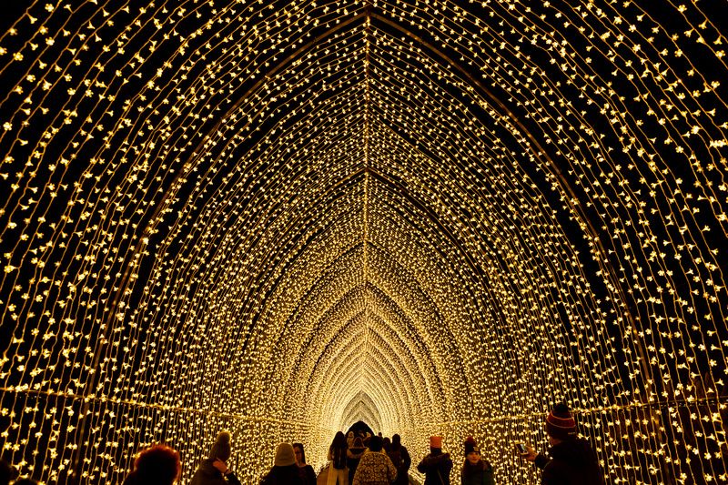 Winter Cathedral at the Brooklyn Botanic Garden