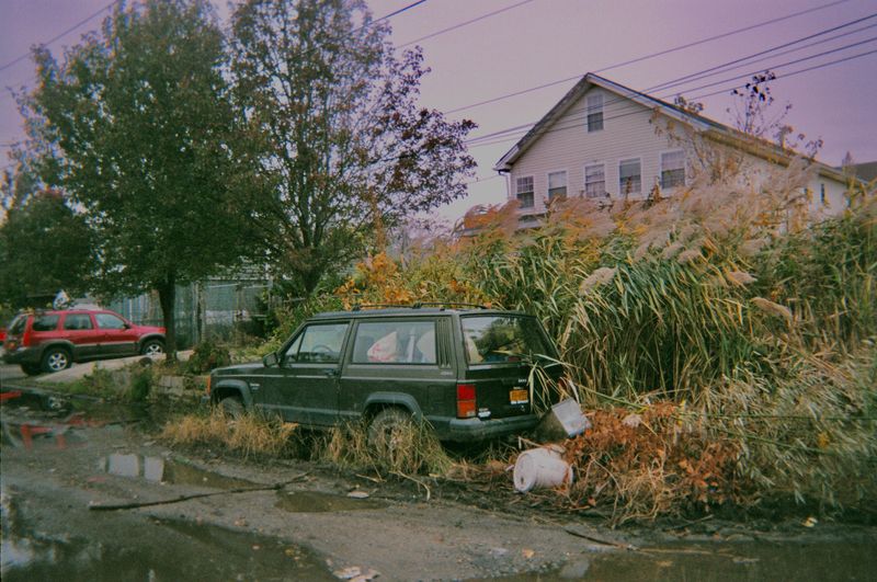 Residence in the Hole with an overgrown front yard