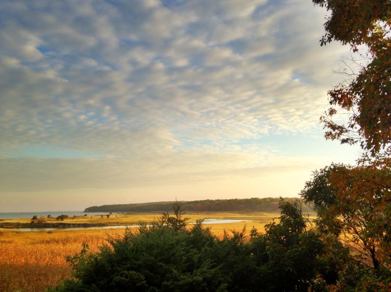 Sag Harbor Hills, site of one of Long Island's free Black communities