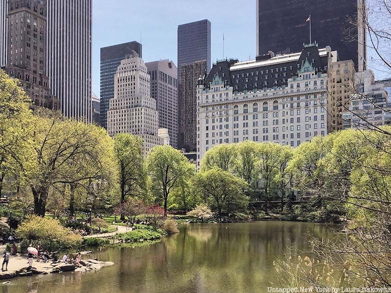 Central Park designed by Frederick Law Olmsted