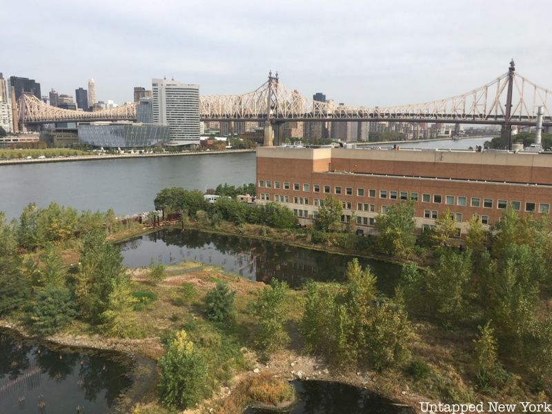 roof overlooking queensboro bridge