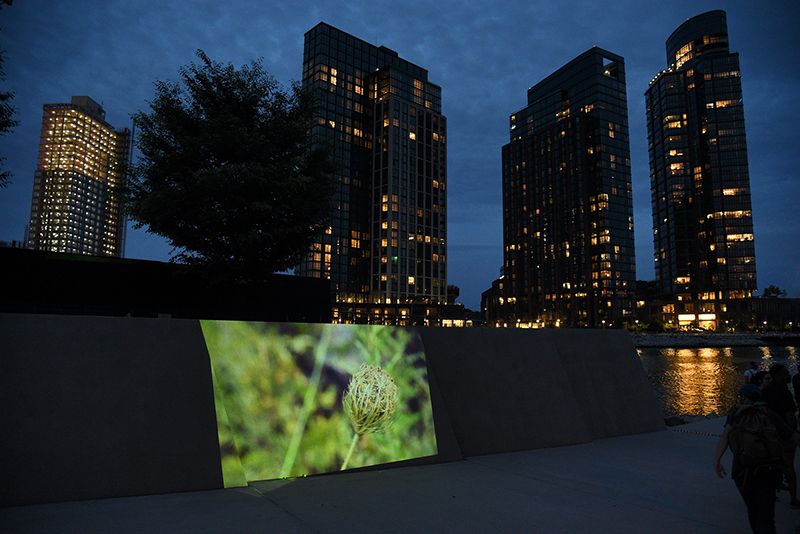 Video projection onto wall at Hunters Point South Park