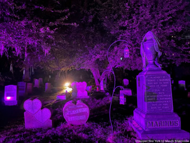 Tombstones and tree branches are bathe in a purple light at Jersey and Harismus Cemetery.