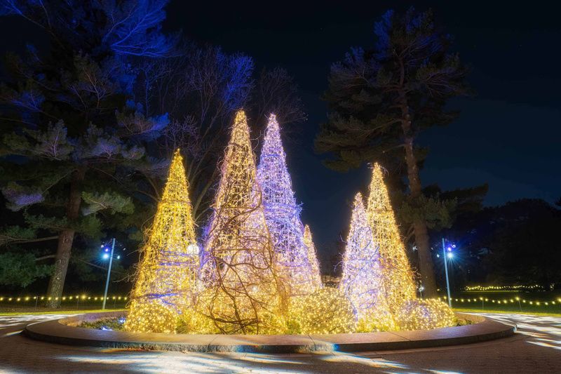 Illuminated topiaries at NYBG GLOW