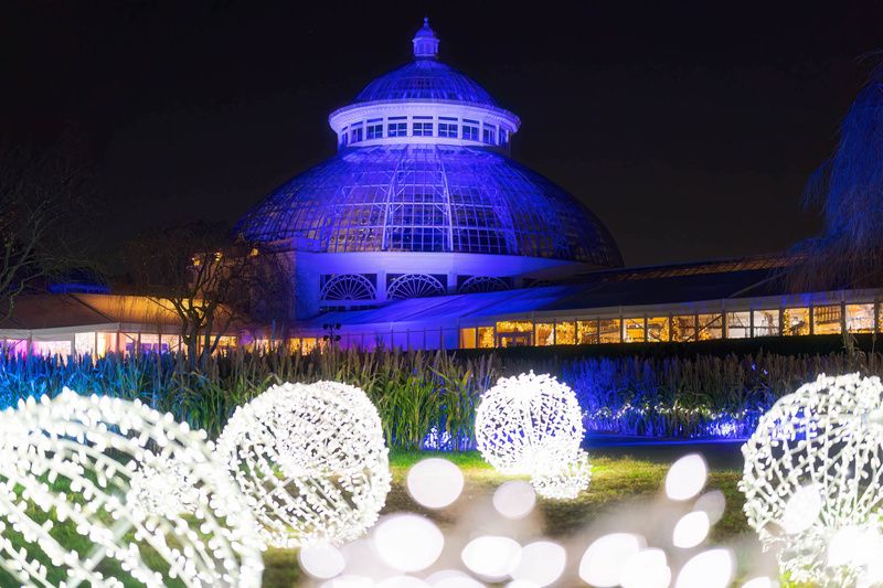 Glowing orbs at NYBG GLOW holiday light display