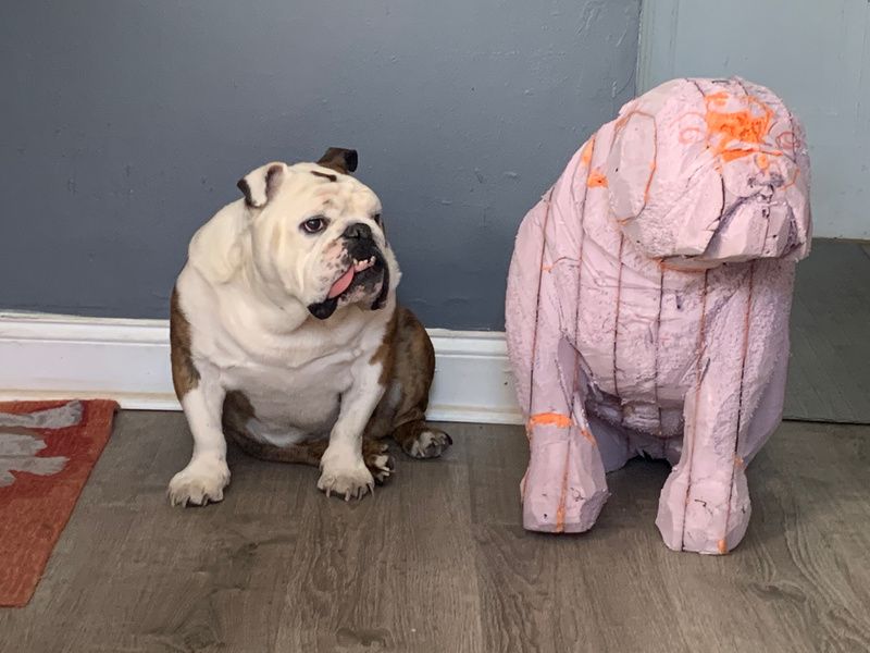 A bulldog stands next to the armature of a statue made in its figure.