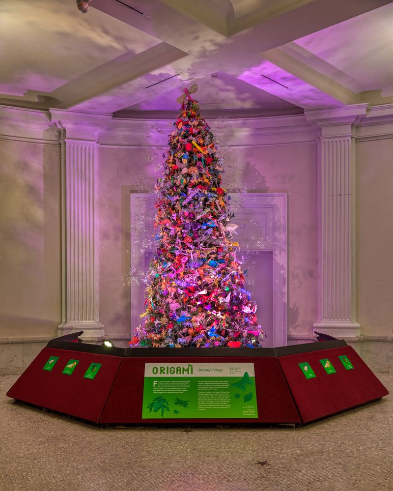 Origami Christmas tree at the American Museum of Natural History that goes up every year of the holidays in NYC