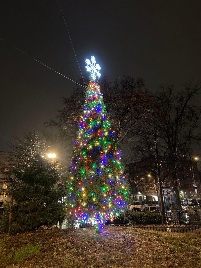 Arthur Avenue Tree