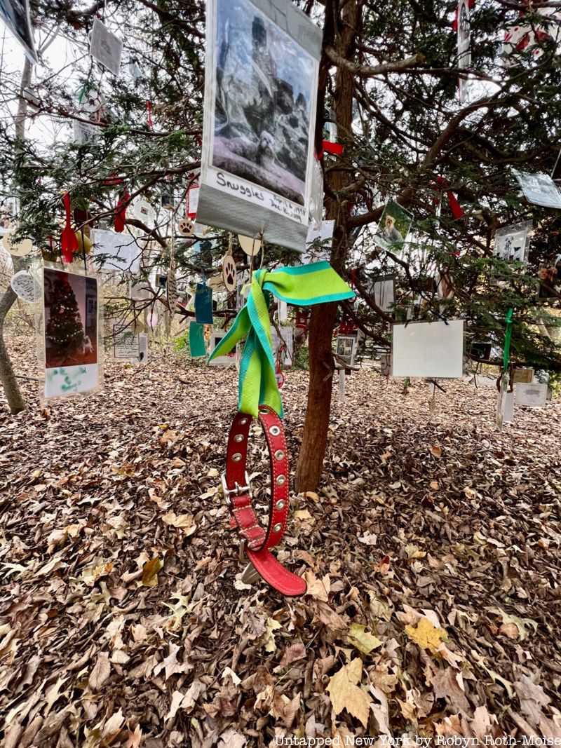 dog collar hangs from Secret Christmas tree pet memorial in Central Park