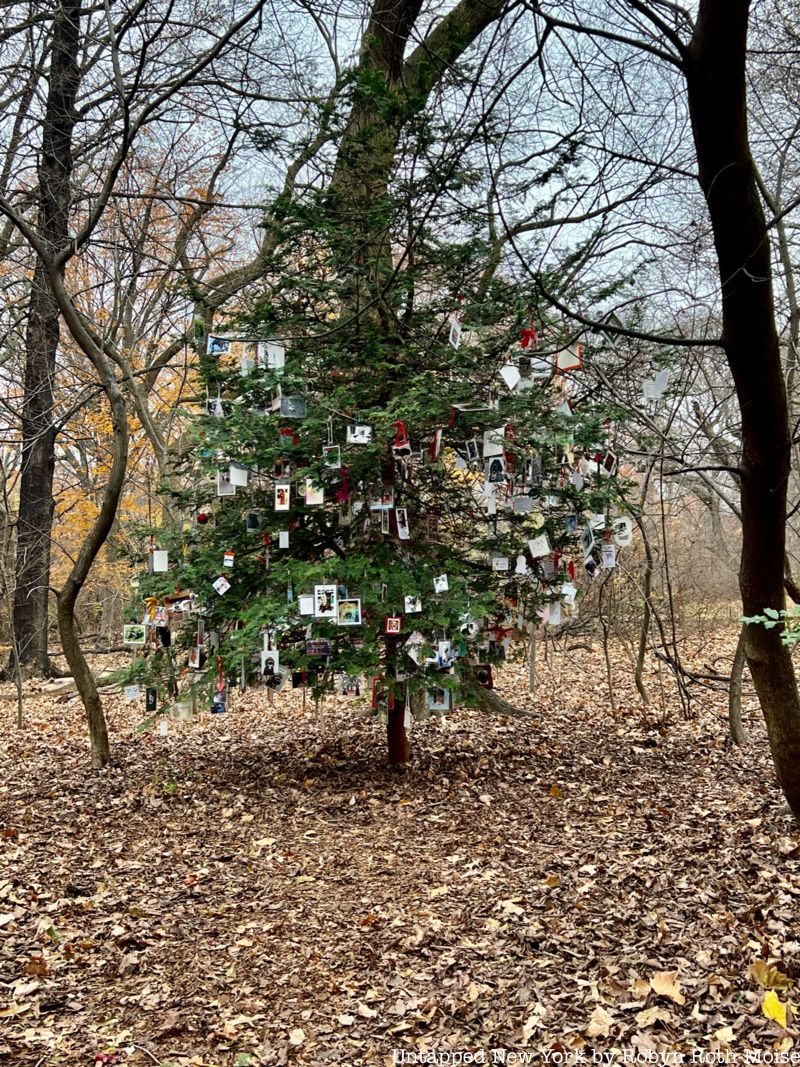 Secret Christmas tree pet memorial in Central Park