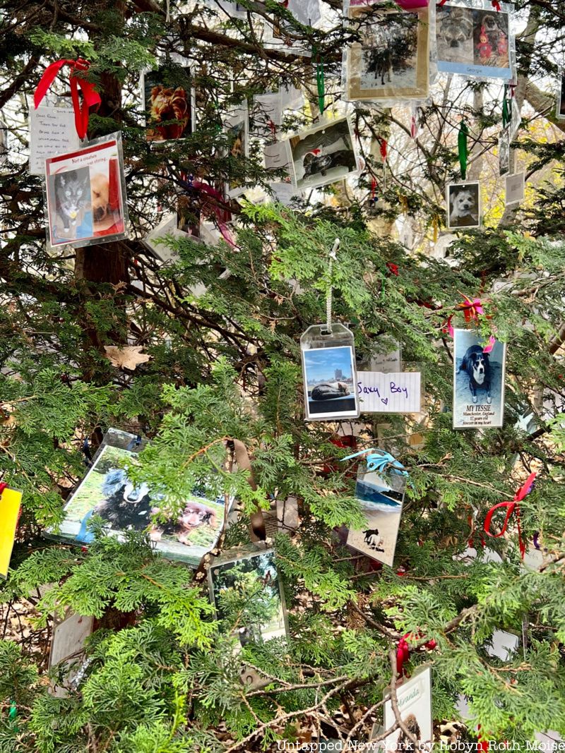 Secret Christmas tree pet memorial in Central Park