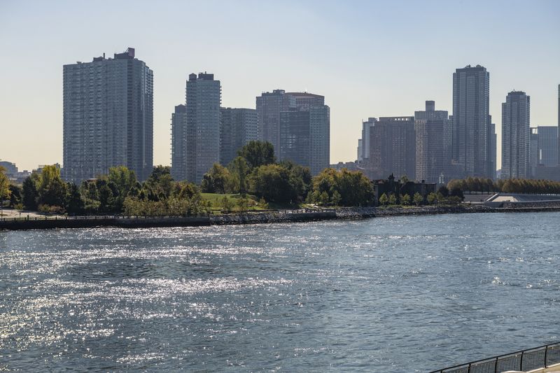 Roosevelt Island