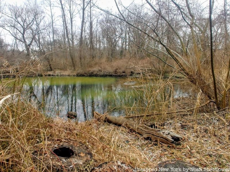 Aurora Pond