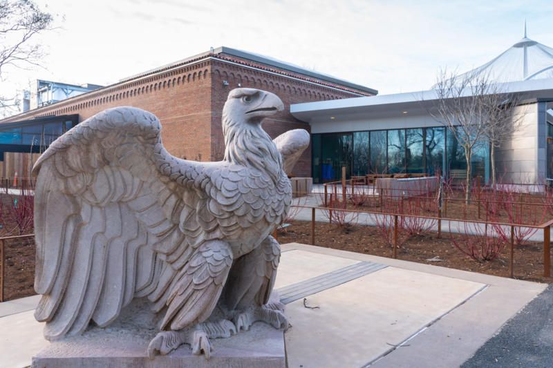 Penn Station eagle at Smithsonian's National Zoo and Conservation Biology Institute