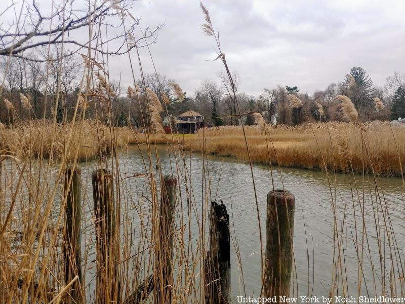 Udalls Cove Park Preserve