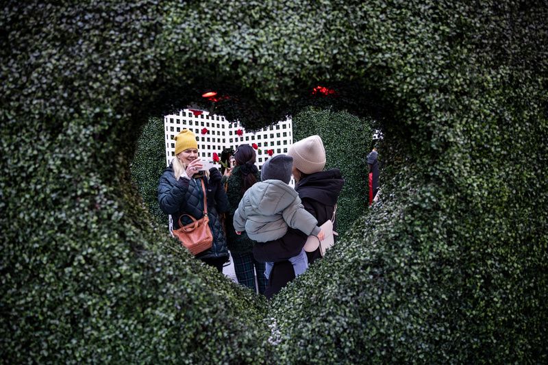 Love h|edge rose bush art installation in Times Square