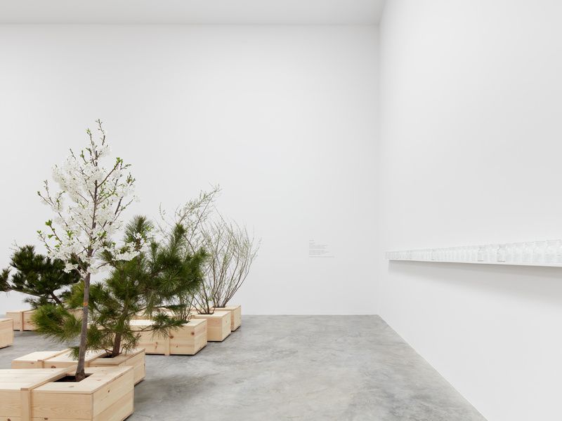 Yoko Ono installation view by Olympia Shannon © Faurschou