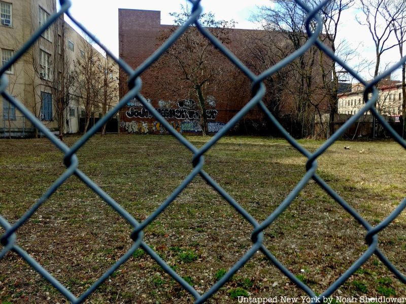 Flatbush African Burial Ground