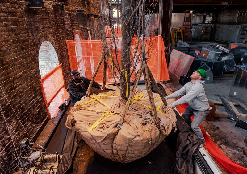 Trees inside the Domino Sugar Factory garden