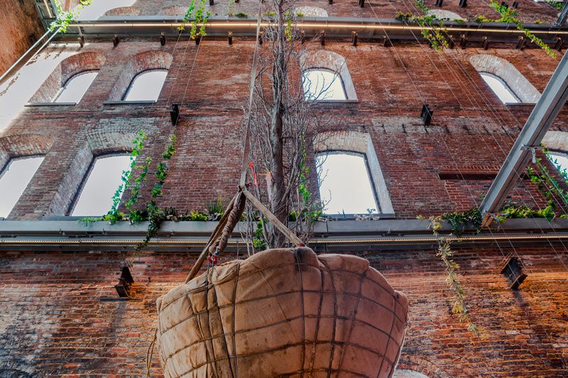 Trees inside the Domino Sugar Factory garden