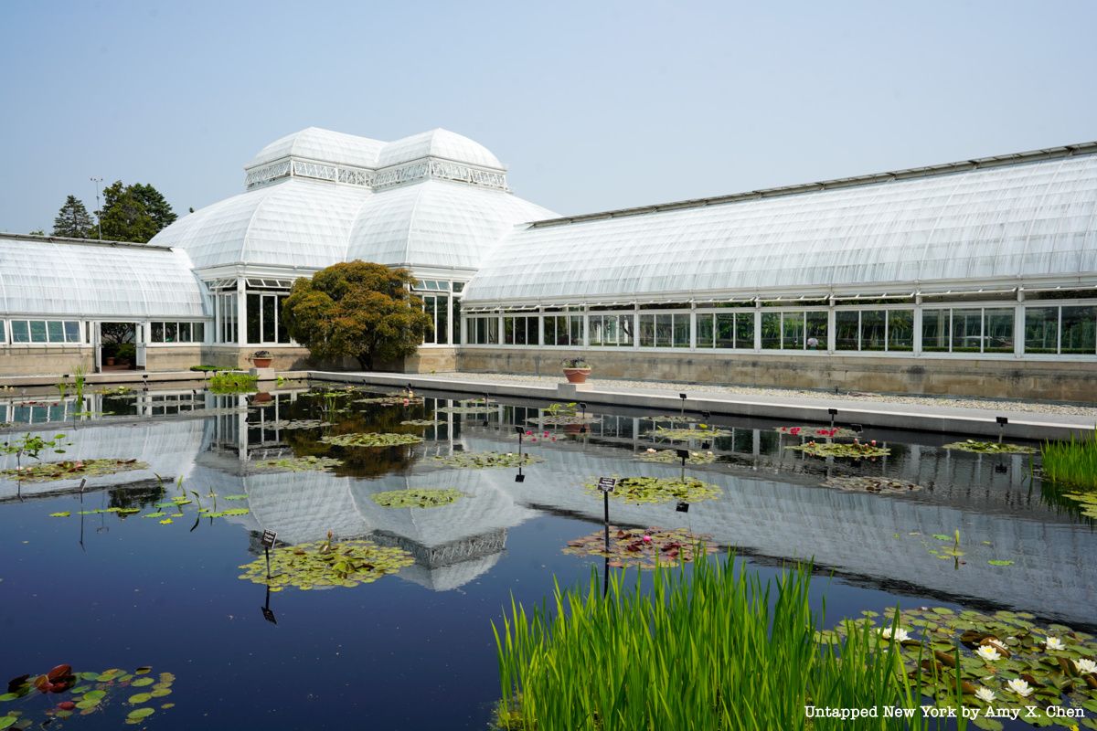 New York Botanical Garden- Summer Exhibit 2023- Ebony G. Patterson- Bronx- Untapped New York- NYC