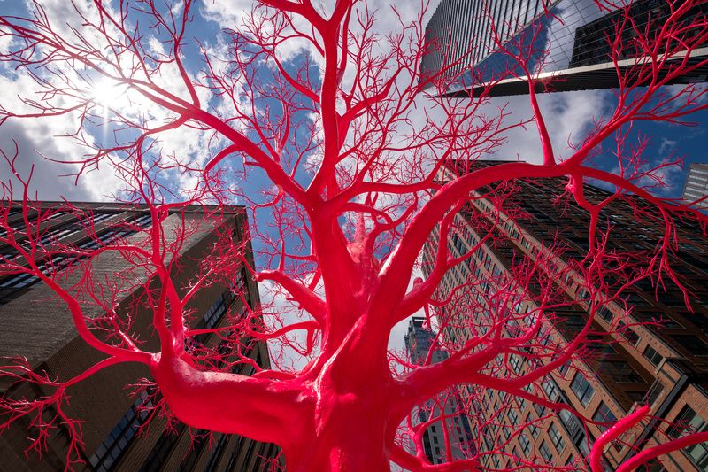 Old Tree on the High Line