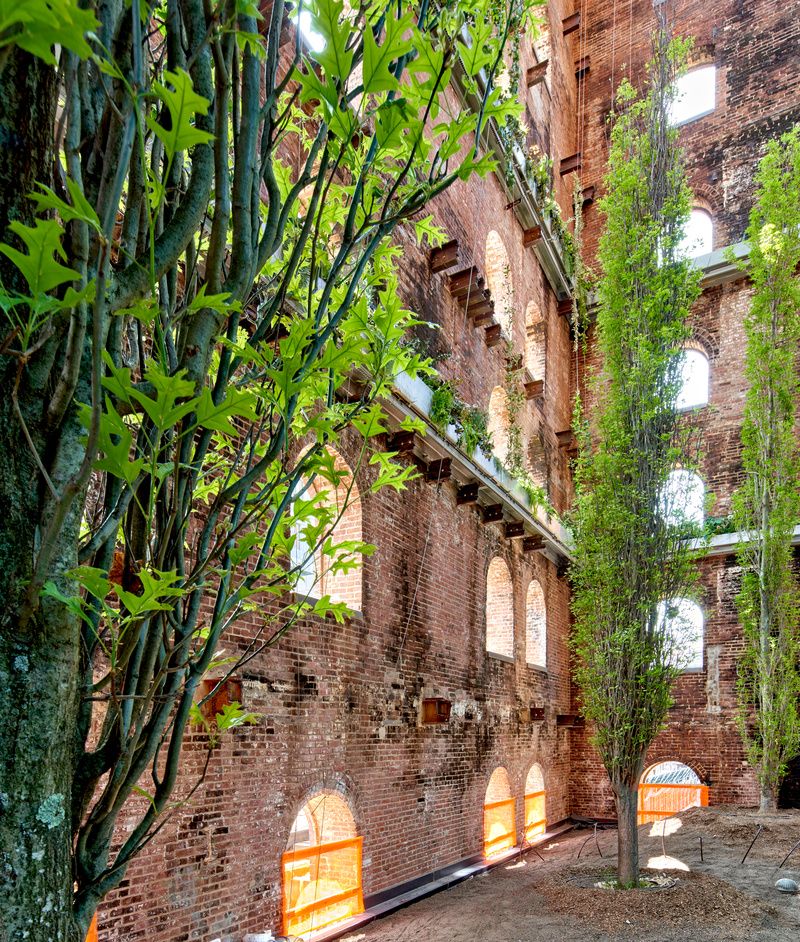 Domino Sugar Refinery vertical garden