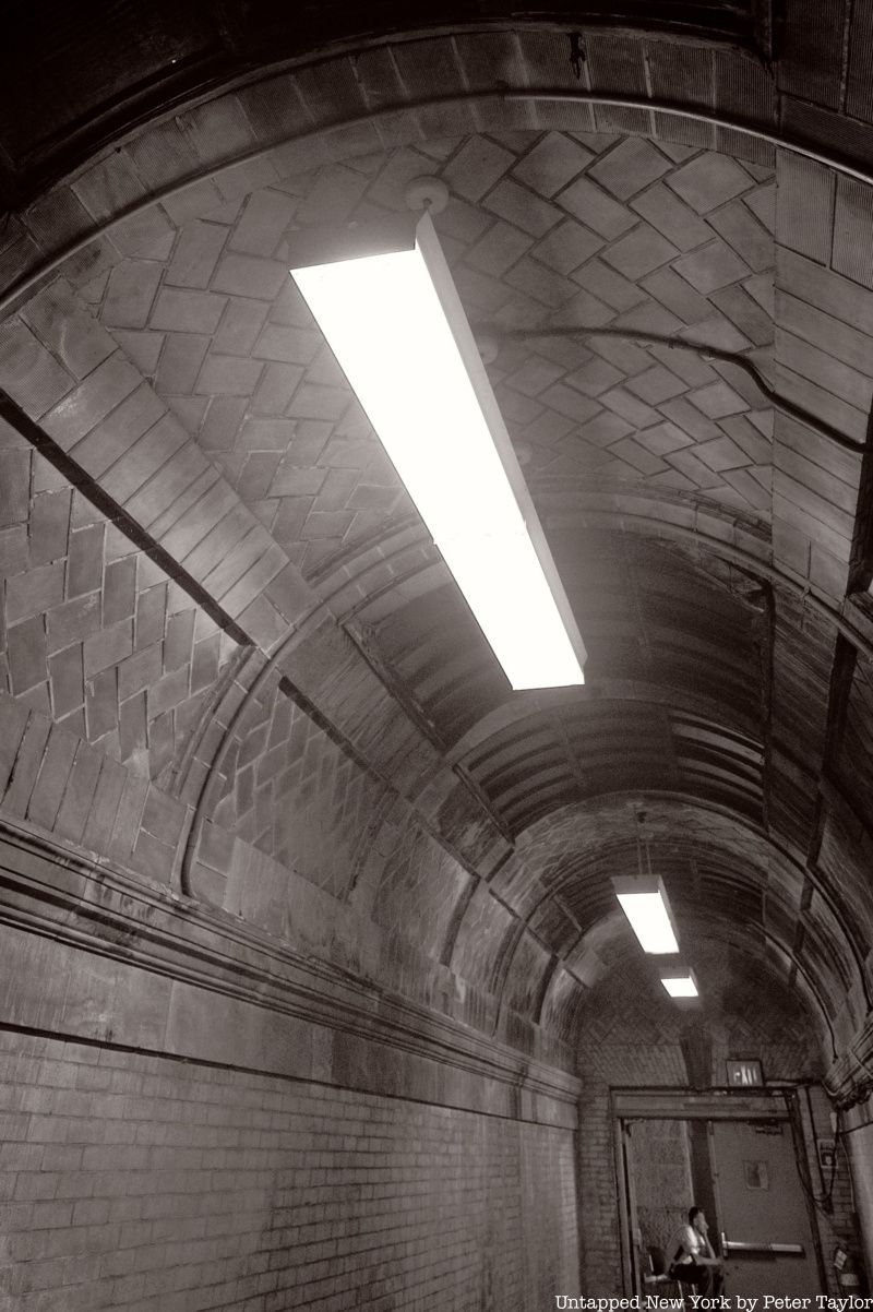 Guastavino tile at Gould Memorial Library